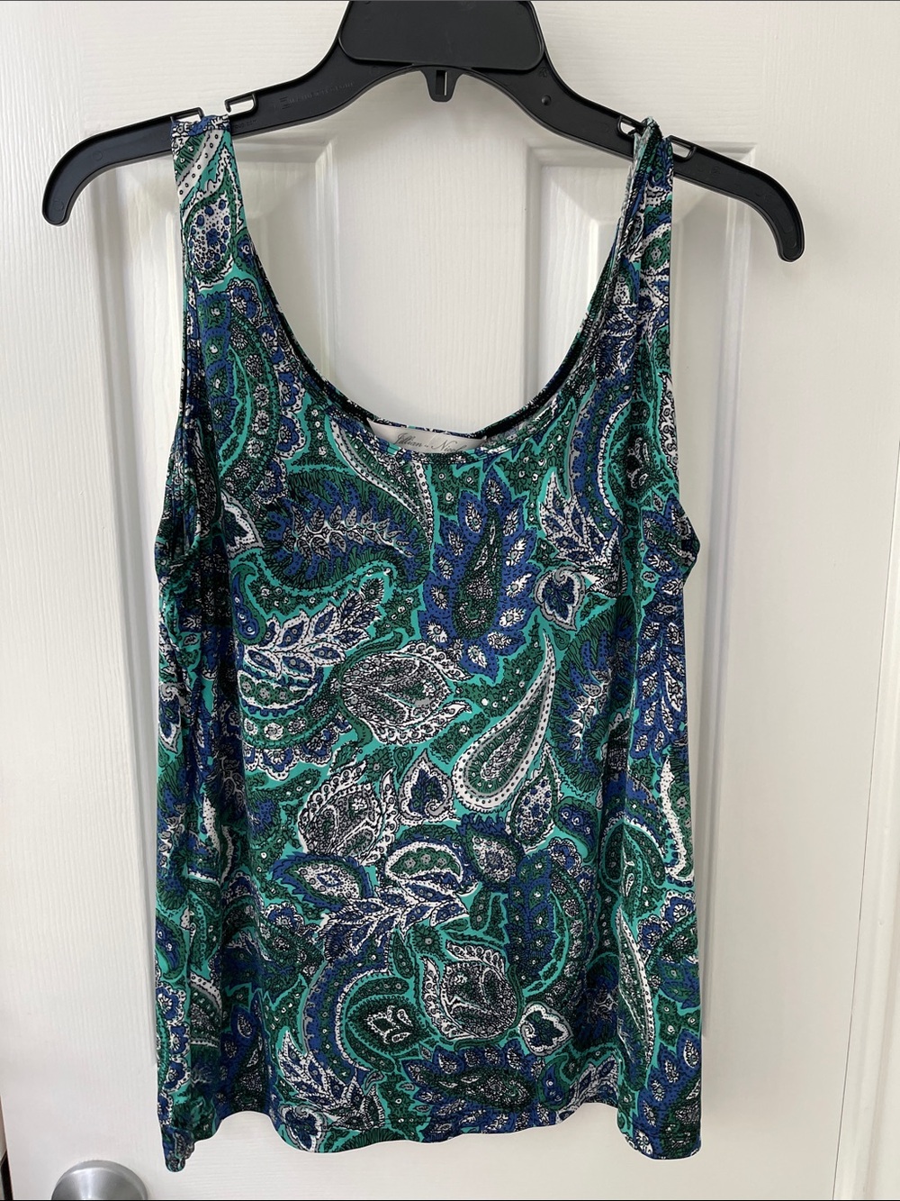 Jillian Nicole Paisley Print Sleeveless Top in Teal & Blue